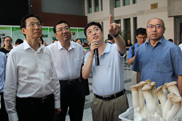 农业部部长韩长赋一行到我院考察食用菌新品种