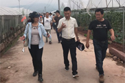 植环所李兴红研究员受邀参加生态综合技术在葡萄减药控害方面技术培训会并做报告