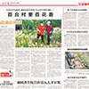 林下经济助小山村增收
