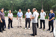 北京市农林科学院领导带队赴房山区调研林下经济
