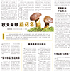 秋天来顿蘑菇宴