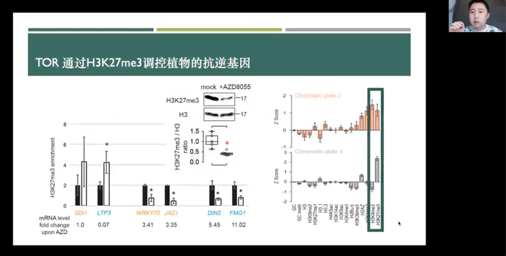 法国国家科学院Yihan Dong博士与我所科研人员进行线上学术交流
