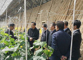 全国政协经济委员会韩长赋同志一行到植环所重点基地调研