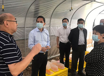 北京市副市长卢彦调研大石窝镇林下复合种养模式示范基地
