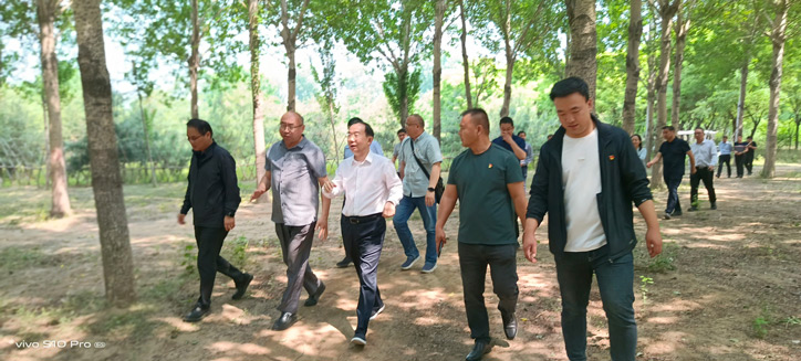 通州区委领导调研观摩军屯村科技小院林下食用菌基地