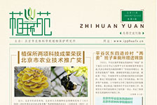 植环苑（第三十一期）
