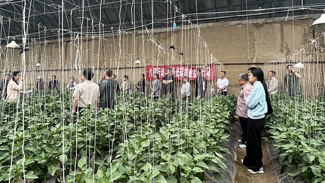 植保所牵头召开绿色低碳农业技术集成应用示范现场观摩及培训会